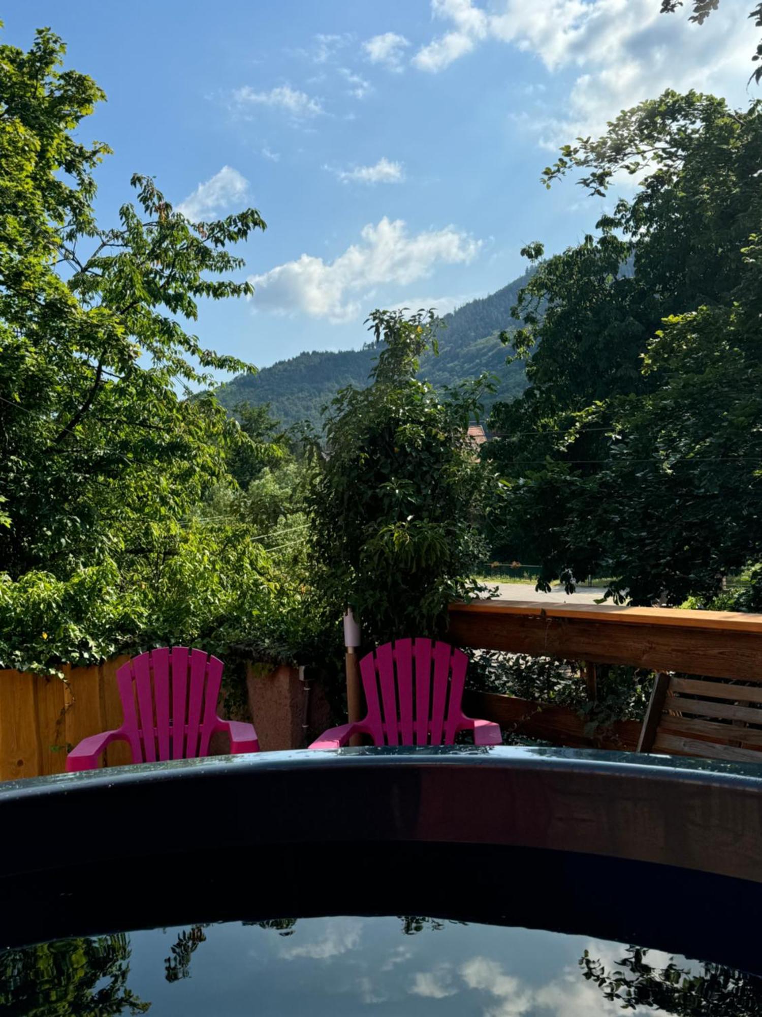 Au Manoir Des Sens Avec Bain Nordique Jacuzzi Bergheim